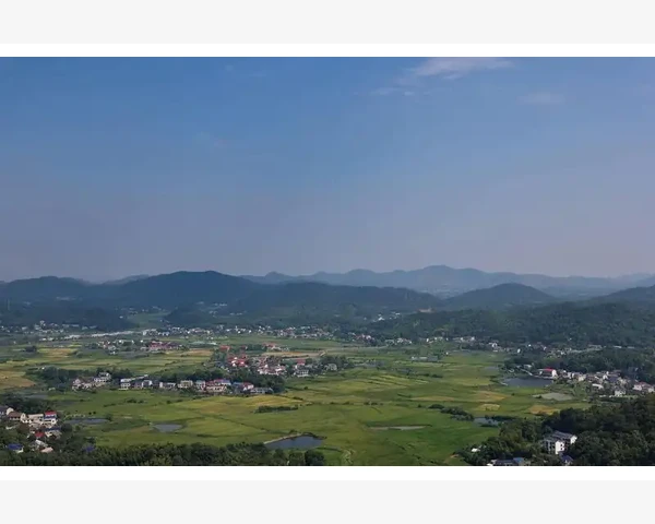冰糖炖香蕉：传统食疗菜谱，还能化痰吗？